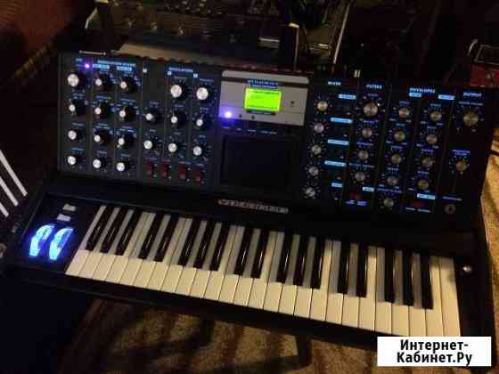 Синтезатор moog voyager Светлогорск