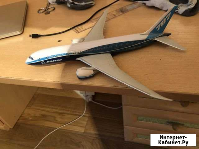 Самолет Boeing 787 Новосибирск - изображение 1