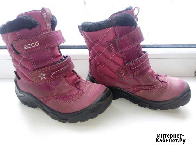 Зимние сапоги ecco Рязань - изображение 1