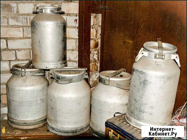 Бидоны для молока 5 шт Киров - изображение 1