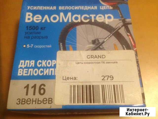 Цепь Ижевск - изображение 1