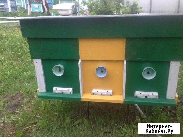 Ульи Батырево - изображение 1