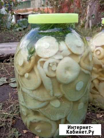 Грузди Кемерово - изображение 1