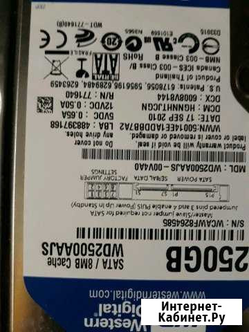Жесткий диск 250Gb WD Blue Курск - изображение 1