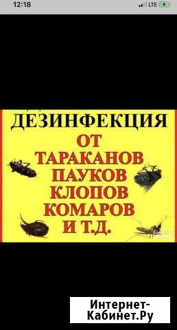 Дезинсекция, дератизация Волжский Волгоградской области - изображение 1