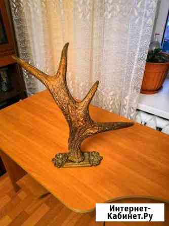 Рога лося Казань