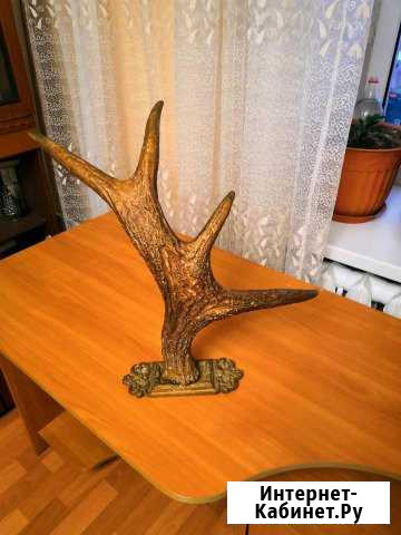 Рога лося Казань - изображение 1