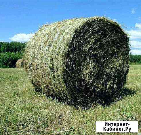 Сено Ясногорск