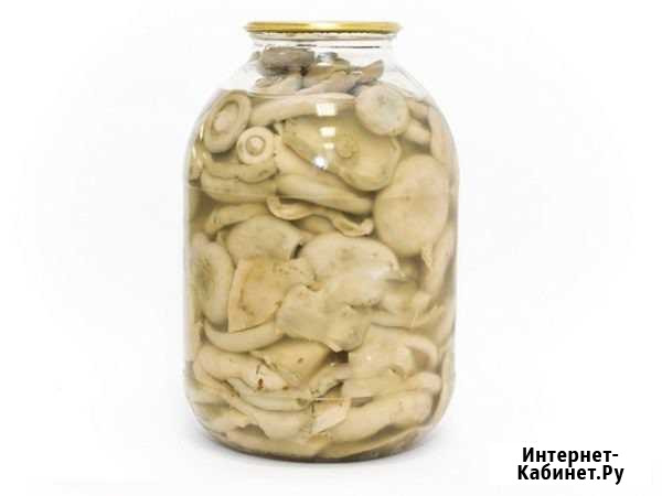 Грузди белые солёные Муром - изображение 1