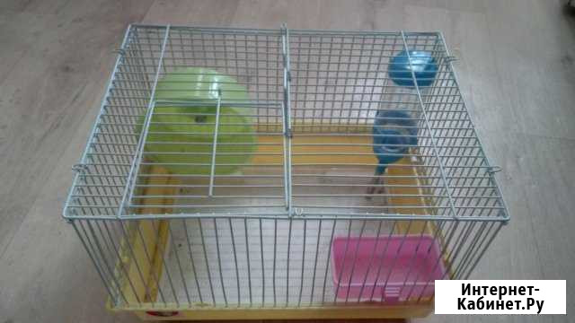 Клетка Ливны - изображение 1
