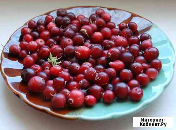 Клюква Кемерово