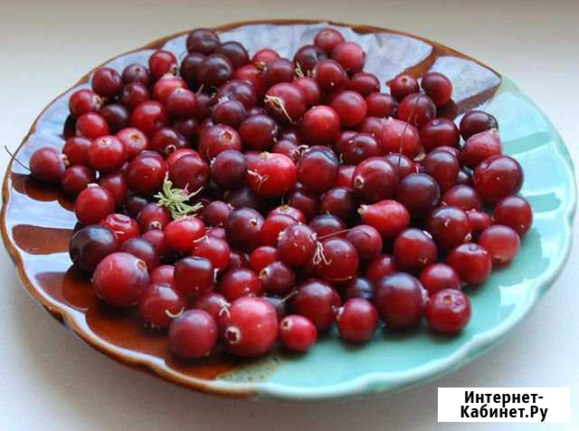 Клюква Кемерово - изображение 1