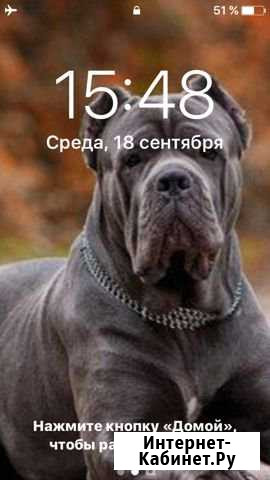 iPhone 5 64gb black grey Серпухов - изображение 1