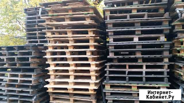 Поддон размеры 1,10/1,30 цена договорная Вязьма - изображение 1
