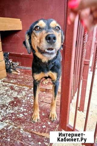 Адель ищет дом Тула - изображение 1