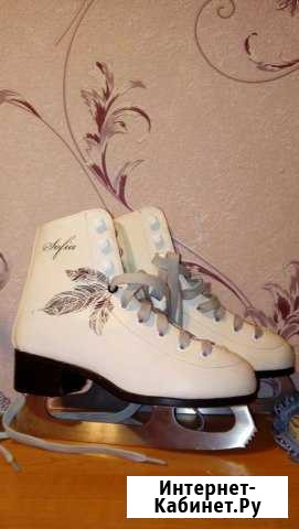 Коньки Нижний Новгород - изображение 1