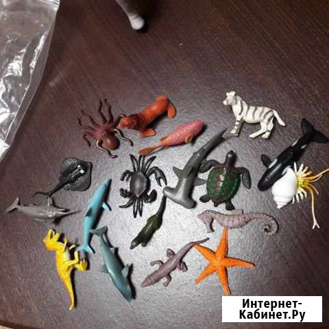 Морские маленькие животинки набор Кропоткин - изображение 1