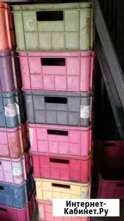 Ящики пластмассовые Братск