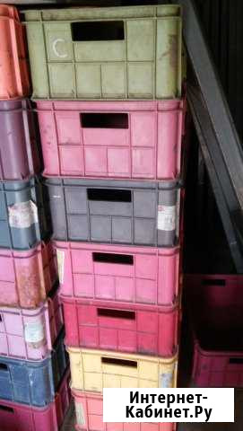 Ящики пластмассовые Братск - изображение 1