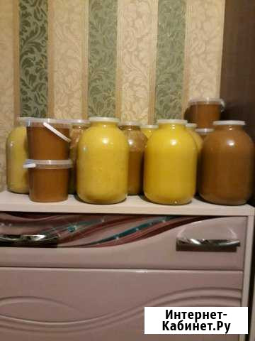 Продам мед Панино - изображение 1