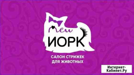 Стрижки животных. Салон New Йорк Сургут
