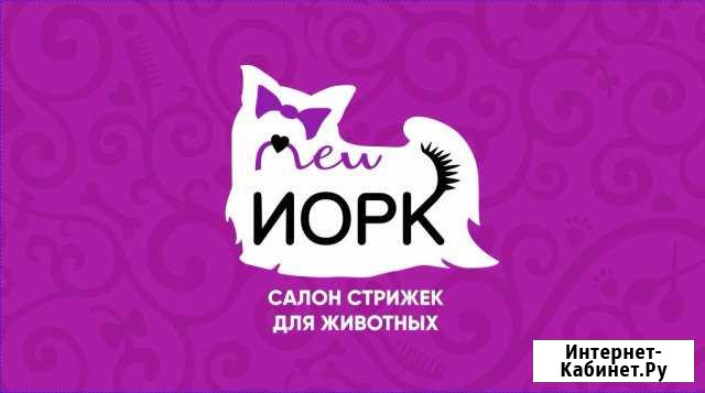 Стрижки животных. Салон New Йорк Сургут - изображение 1