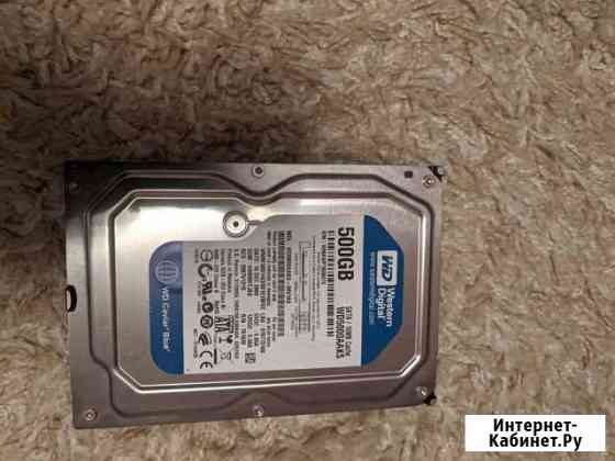 HDD WD 500гб 3,5 Кстово