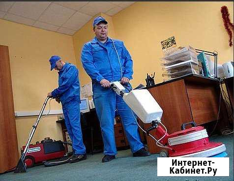 Профессиональная выездная химчистка Советский - изображение 1