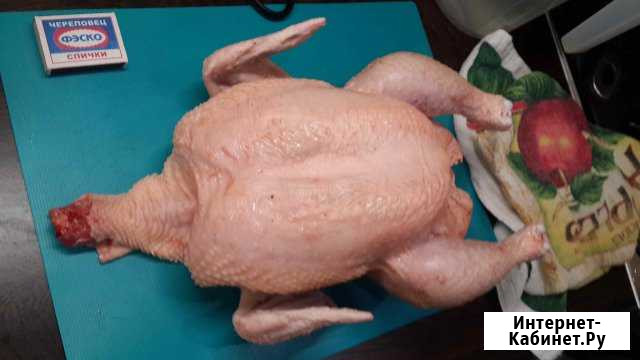 Мясо бройлера (домашней птицы) Сергиев Посад - изображение 1
