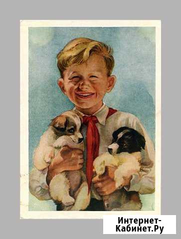 СССР. Пионер с щенками, Стрелкова, 1954 год, подп Белгород - изображение 1