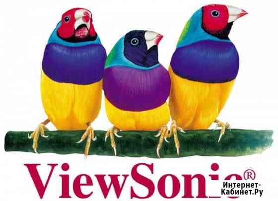 Аренда проектора с экраном 2000 Хабаровск