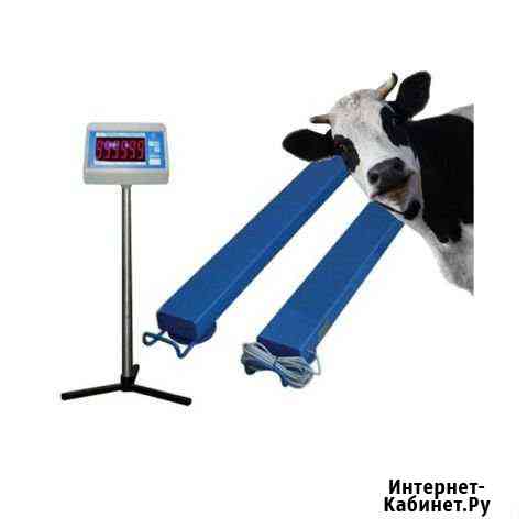 Весы стержневые 1т - 5т Самара