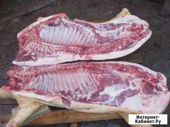 Продам домашнее мясо (свинина) Лебедянь