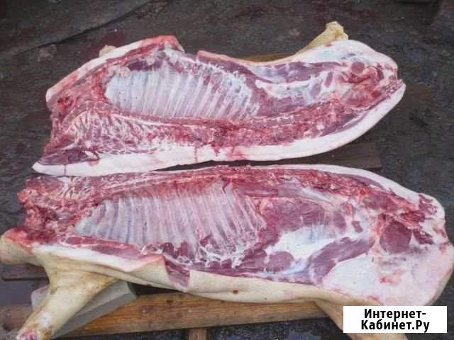 Продам домашнее мясо (свинина) Лебедянь - изображение 1