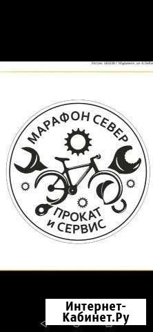 Вело сервис и прокат Мурманск - изображение 1