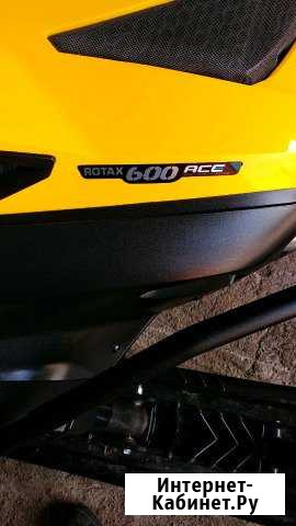 Продаю skandik 600ace Змеиногорск - изображение 1