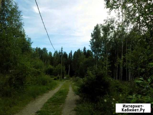 Участок 10 сот. (СНТ, ДНП) Выборг - изображение 1