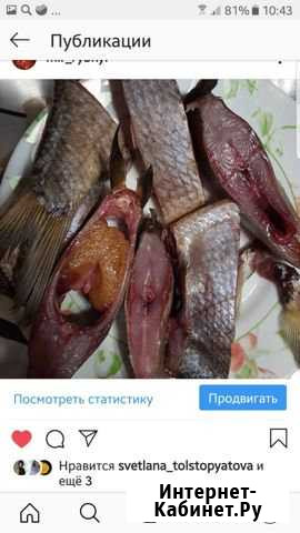 Рыба вяленая Люберцы - изображение 1