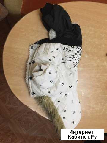 Комбинезон для собаки Томск - изображение 1