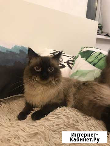 Вязка Санкт-Петербург - изображение 1