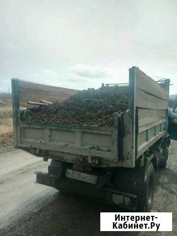 Куриный помёт Комсомольск-на-Амуре - изображение 1