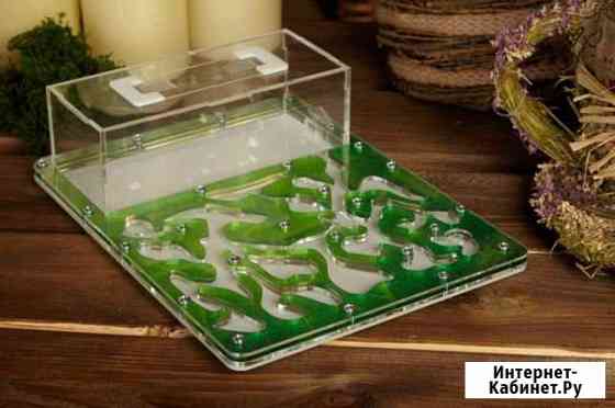 Муравьиная ферма (Формикарий) с муравьями Воронеж