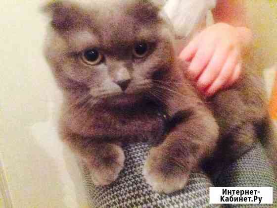 Вязка Краснодар