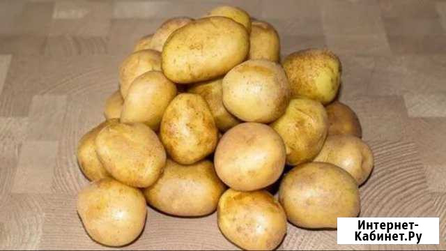 Продам едовой картофель 5 мешков Тайшет - изображение 1