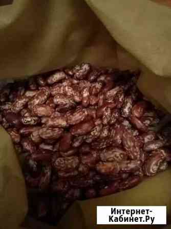 Продам фасоль Пенза