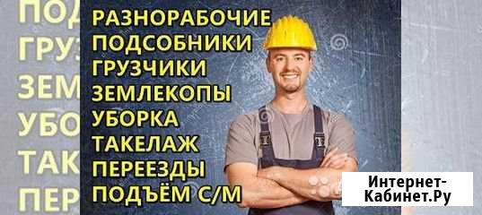 Грузчики, разнорабочие, подсобники Перевозка пиани Новосибирск - изображение 1
