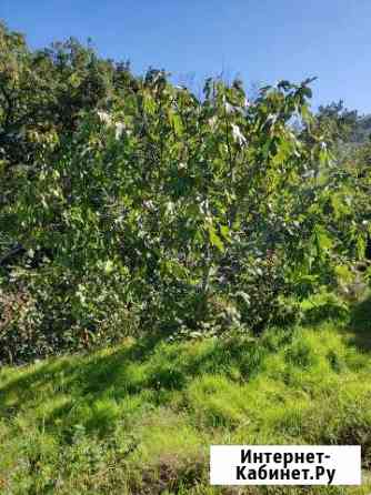 Участок 8 сот. (ИЖС) Ялта