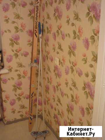 Продаю палки для скандинавской ходьбы Северодвинск - изображение 1