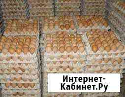 Инкубационное яйцо Кобб500,Росс308,цветной бройлер Батайск