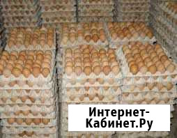 Инкубационное яйцо Кобб500,Росс308,цветной бройлер Батайск - изображение 1